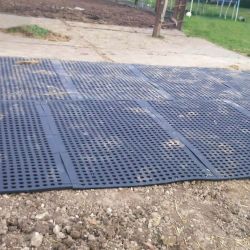 Tapis de sol Belmondo Flix sols naturels