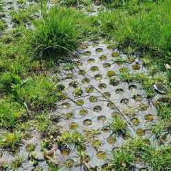 Tapis de sol Belmondo Flix sols naturels