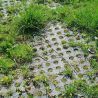 Tapis de sol Belmondo Flix sols naturels
