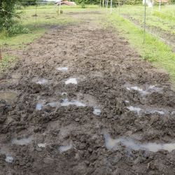 Tapis de sol Belmondo Flix sols naturels