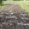 Tapis de sol Belmondo Flix sols naturels