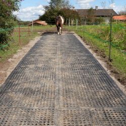 Tapis de sol Belmondo Flix sols naturels