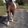 Tapis de sol Belmondo Flix sols naturels