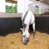 Revêtement de mur Caoutchouc BELMONDO Rodeo