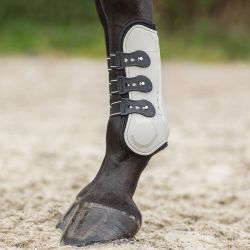 Guêtres ouvertes champion QHP