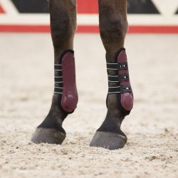 Guêtres ouvertes champion QHP