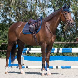Tapis Florence QHP