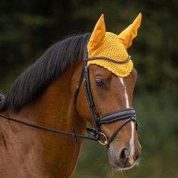 Bonnet Florence QHP