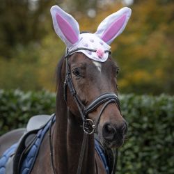Bonnet Pâques QHP