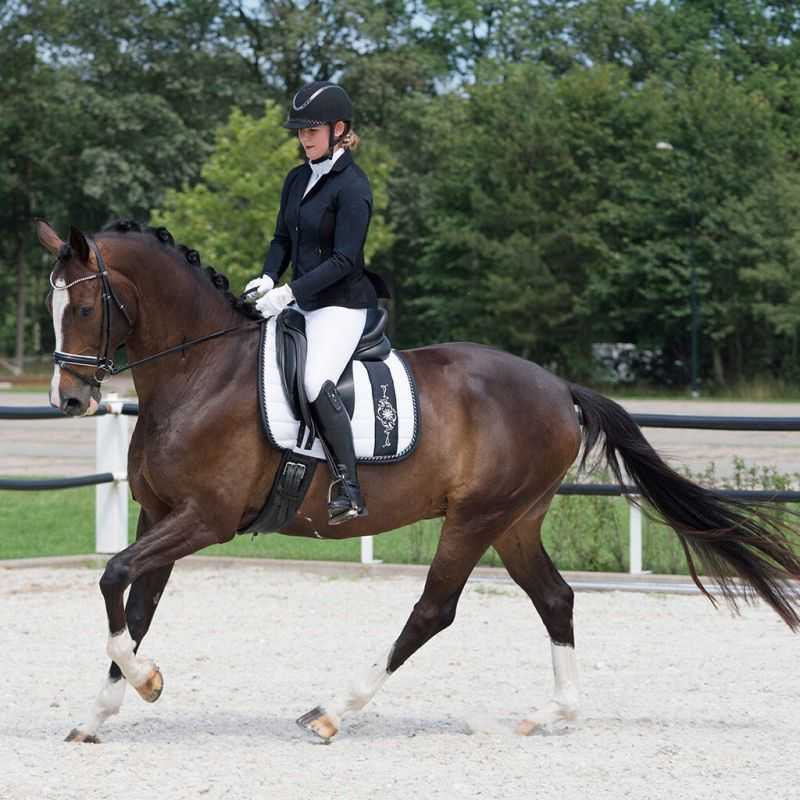 Veste de concours femme Noven QHP