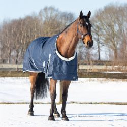 Protection de poitrail QHP