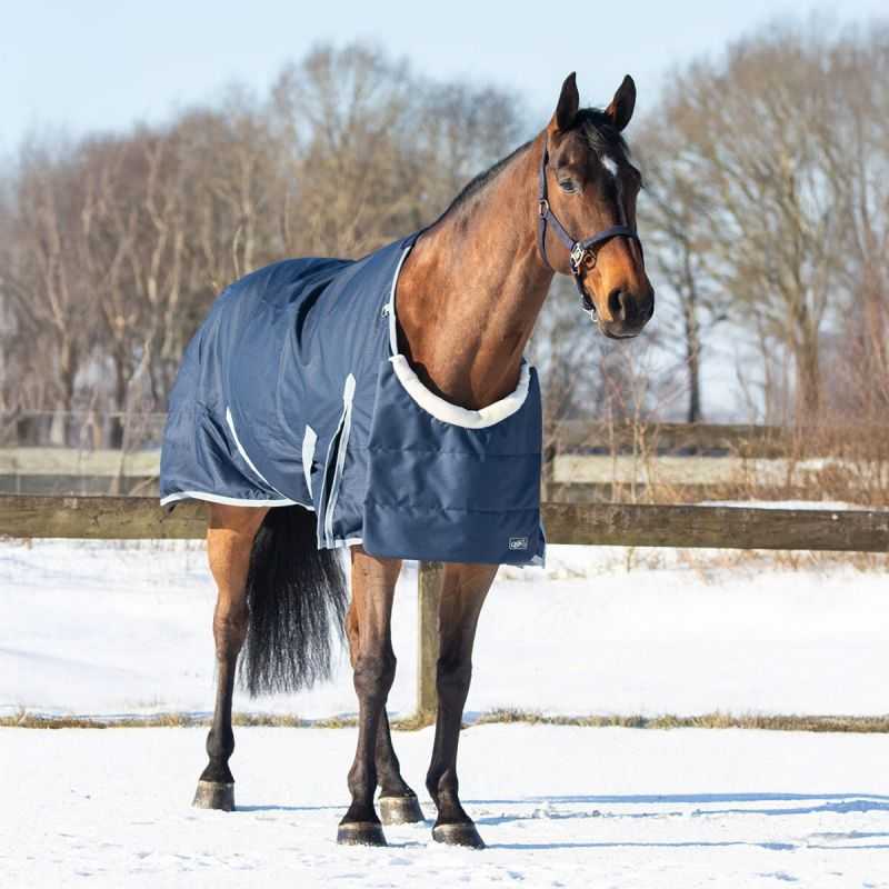 Protection de poitrail QHP Protection de poitrail QHP
