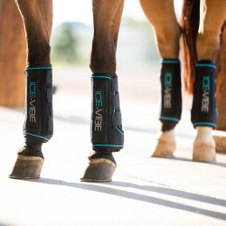 Guêtres de soin Ice Vibe Horseware