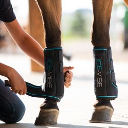 Guêtres de soin Ice Vibe Horseware