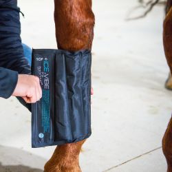 Guêtres de soin Ice Vibe Horseware