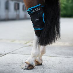 Guêtre de soin pour Jarret Ice Vibe Horseware