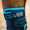 Guêtre de soin pour Jarret Ice Vibe Horseware