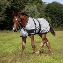 Chemise anti-mouche poulain QHP