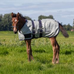 Chemise anti-mouche poulain QHP