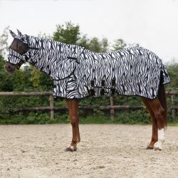 Chemise anti-mouches avec cou et masque QHP