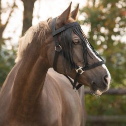 Frontal Chasse Mouche Q-Essentials