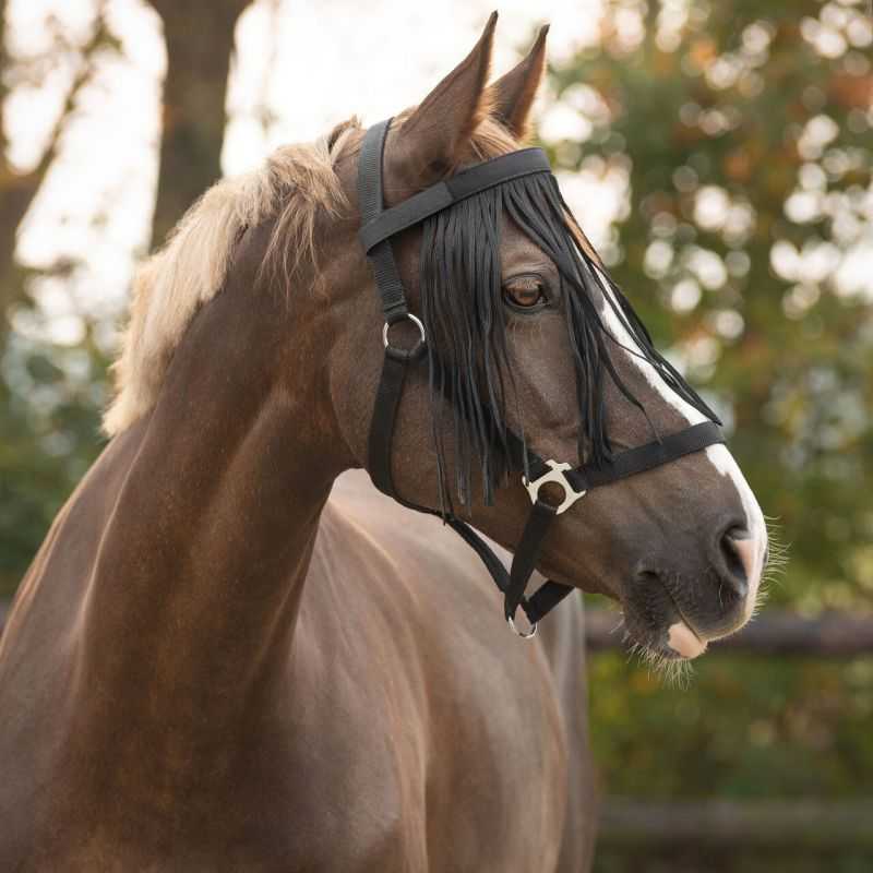 Frontal Chasse Mouche Q-Essentials