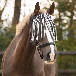 Frontal Chasse Mouche Q-Essentials