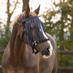 Frontal Chasse Mouche Q-Essentials