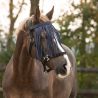 Frontal Chasse Mouche Q-Essentials