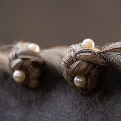 Bijou de crinière Perle QHP
