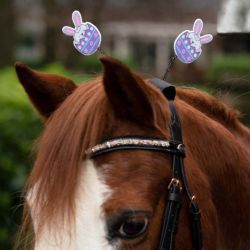 Accessoires têtière Pâques QHP