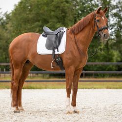 Tapis de selle Sparkle QHP