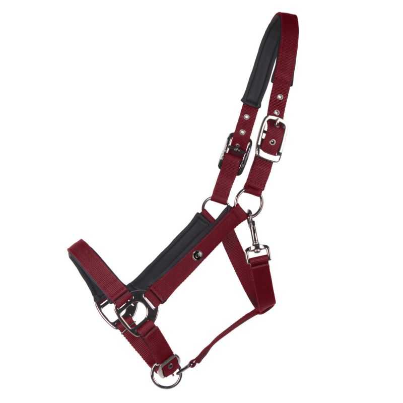 Licol luxe QHP Licol luxe QHP