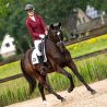 Veste de concours femme Noven QHP