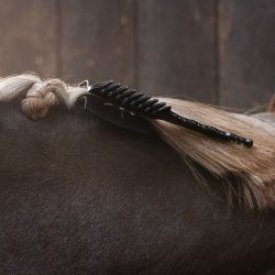 Peigne avec pince QHP