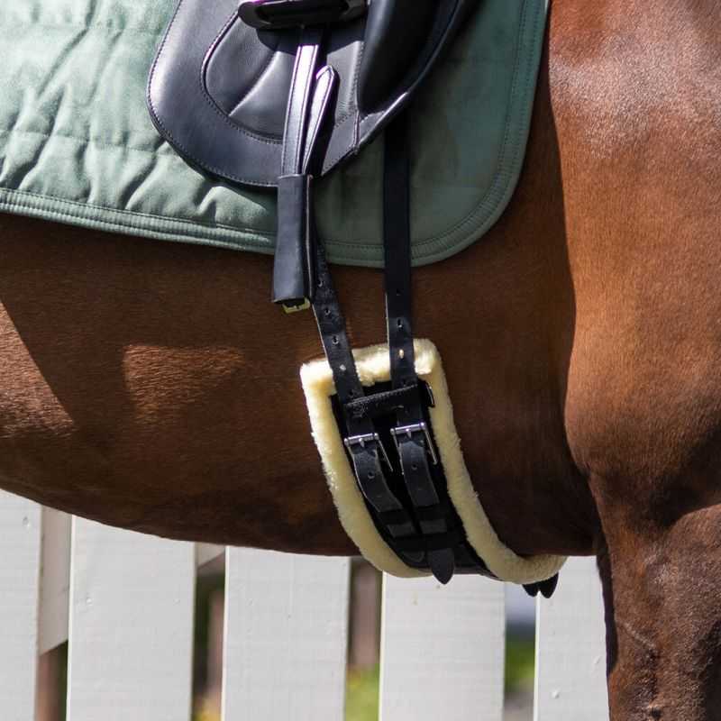 Sangle de dressage Ontario QHP Sangle de dressage Ontario QHP