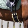 Sangle de dressage Ontario QHP