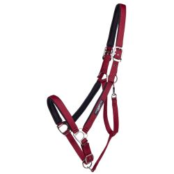 Licol Deluxe cheval de trait QHP