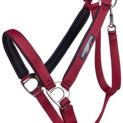 Licol Deluxe cheval de trait QHP