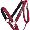 Licol Deluxe cheval de trait QHP