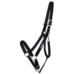 Licol Deluxe cheval de trait QHP