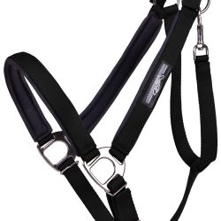 Licol Deluxe cheval de trait QHP