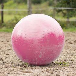 Ballon de jeu pour chevaux QHP
