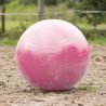Ballon de jeu pour chevaux QHP