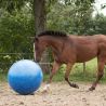 Ballon de jeu pour chevaux QHP