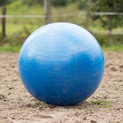 Ballon de jeu pour chevaux QHP