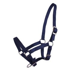 Licol poulain Q-Essentials