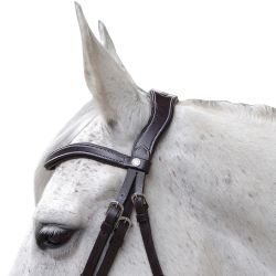 Bridon Baloubet Canter