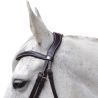 Bridon Baloubet Canter