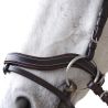 Bridon Baloubet Canter